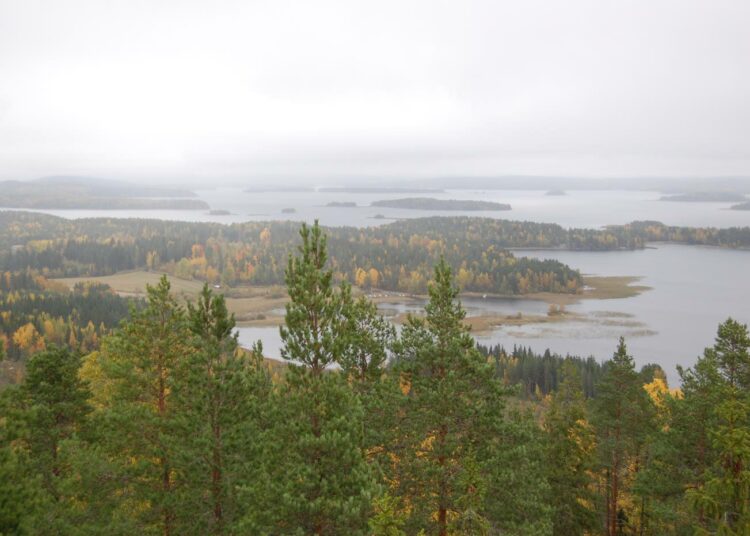 Oravivuoren kolmiomittaustornista avautuu hieman sumuisenakin päivänä komeat maisemat Pohjois-Päijänteelle.