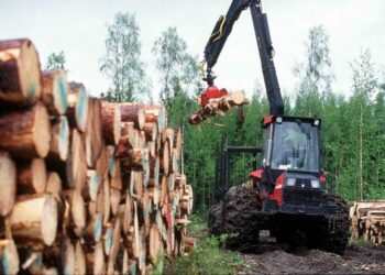Veronika Honkasalo kritisoi Orpon hallituksen linjauksia hakkuista.