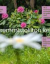 Hyvät uutiset ovat viitoittaneet vasemmistoliiton kevättä. Tämä artikkeli selvittää, miten voidaan arvioida seuraavien eduskuntavaalien asetelmia vaalipiireittäin. Yksittäisessä vaalipiirissä vaalitulos voi olla huono valtakunnallisesta vaalivoitosta huolimatta.