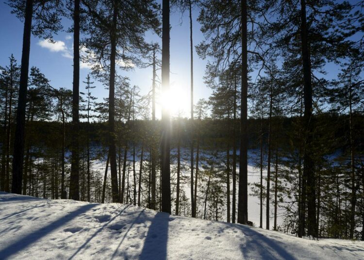 Hossan erämaa-aluetta sekä valtion retkeilyaluetta Suomussalmella kuluvan vuoden maaliskuussa.
