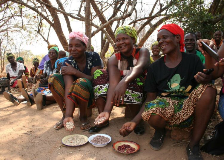 Sambian pääkaupungin Lusakan ulkopuolella sijaitsevassa kylässä asuvat naiset ovat parantaneet perheidensä ruokaturvaa ja elantoa ryhtymällä viljelemään palkokasveja.