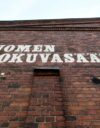 Suomen elokuvasäätiöön esitetty leikkaus ajaa tuontatoyhtiöitä ja elokuvateattereita konkurssiin, ennustaa kansanedustaja Pia Lohikoski.