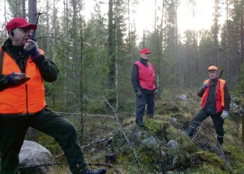 Kyösti Hassinen (vas.), Kauko Jääskeläinen ja Esko Riikonen epätietoisina päivän ainoan laukauksen jälkeen.