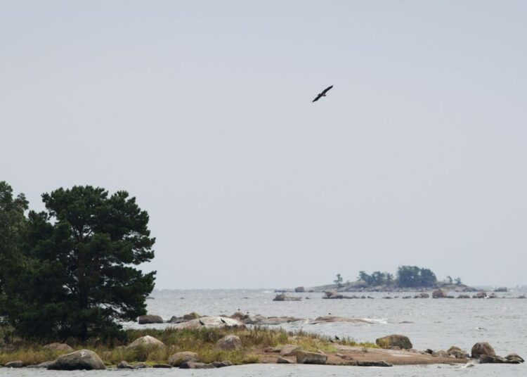 Etelärannikolla maankohoaminen ei kompensoi oletettua merenpinnan kohoamista.