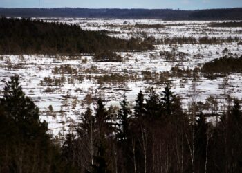 3000 hehtaarin Torronsuolla näkymät avautuvat kauas. Etelä-Suomen mittapuulla Torronsuo on harvinainen ja luonnontilainen suo.