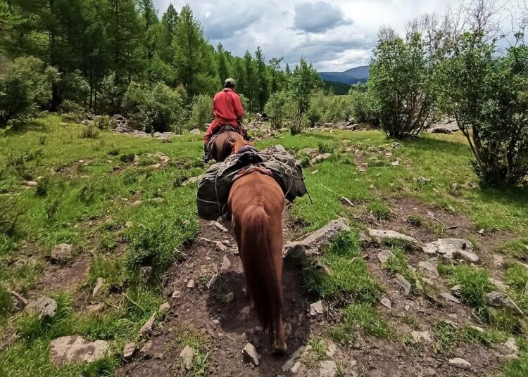 Karjankasvattaja L. Bold ratsastaa vuoristopolulla. Monien muiden tapaan hän toimii kesäisin turistioppaana ja saa lisätuloja hevosten sekä jakkien vuokraamisesta kulkupeleiksi matkailijoille.