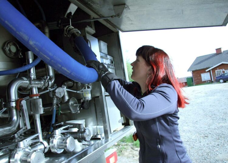 Tiia-Riikka Mäkelän työpäivä alkaa tällä kertaa aamuvarhaisella. Maitoauton letkut vedetään tilatankkiin, josta maito imetään auton säiliöön.