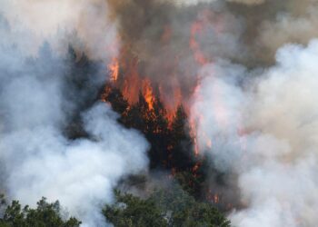 Ilmaston lämpeneminen kiihtyy, ja seuraukset näkyvät kaikkialla. Koillis-Espanjaa koettelivat loppukesästä paahtavan kuumuuden lisäksi myös laajat metsäpalot.