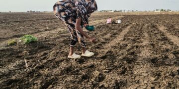 Maanviljelijä kylvi siemeniä Itä-Sudanissa heinäkuussa. YK on varoittanut, että 20 miljoonaa ihmistä on vaarassa ajautua nälänhätään Sudanin sodan vuoksi.