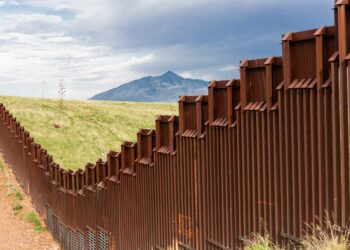 Huoli Yhdysvaltain ja Meksikon välisen muurin vaikutuksista luontoon ei perustu muurin esteettisesti epämiellyttävään ulkomuotoon, vaan siihen, että muuri kaventaa biodiversiteettiä.