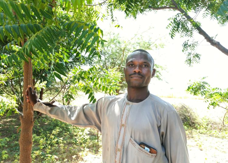 Jabiru Muhammedin vieressä oleva puu on istutettu hänen kotikyläänsä Jigawan osavaltiossa osana Saharan vihreä muuri -hanketta.