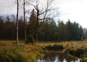 Vapolan tila on ansiokkaasti vähentänyt ravinnepäästöjä Itämereen muun muassa rakentamalla kosteikkoja.