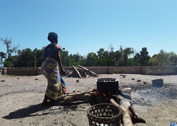 Nainen keittää dagaa-kalaa avotulella,. Kalan myyntiin valmistaminen perinteisillä menetelmillä kuluttaa paljon puuta, tässä tapauksessa mangrovea. Mangrovemetsän polttopuiksi kaataminen uhkaa yhteisön, ennen muuta kalastajien elinkeinoja.