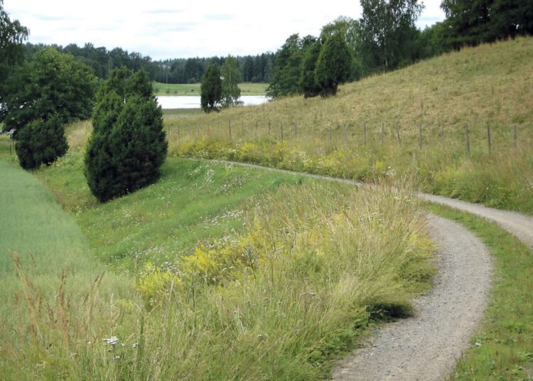 Vanhan pellon pientareella muinaismaiseman olemus voi olla vielä tavoitettavissa.