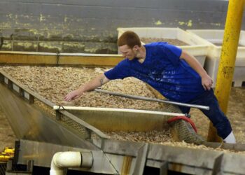 Alabaman Bayou La Batressa sijaitsevassa Deep Sea Foods -tehtaassa työskentelevä Devin Evans käsittelee Meksikosta tuotuja katkarapuja. Yhdysvaltain vesiltä ei enää katkarapuja saa Meksikonlahden alueella.