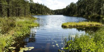 Kuntavaalien siirtymisen oikea syy on luontokadossa. Luontokadon ja ilmastokriisin entistä tiiviimpi seuraaminen on elinehto kaikille tiedotusvälineille.