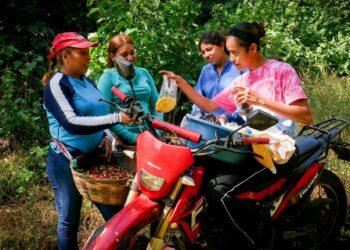 Kahvinviljelijä Arely Alarcón, hänen tyttärensä ja sisaruksensa lapsi pitävät tauon poiminnasta ostaakseen ananasta ja muita hedelmiä naiselta, joka saapuu moottoripyörällä kahvitilan lähelle.