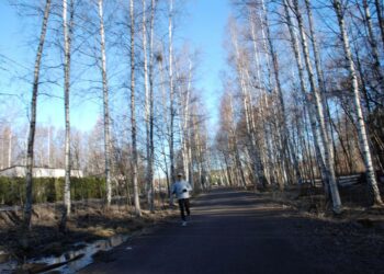 Talviaikaan siirryttäessä kannattaa hyödyntää aamujen valoisuus vaikka ulkoilemalla, neuvoo Työterveyslaitoksen tutkimusprofessori Mikko Härmä.