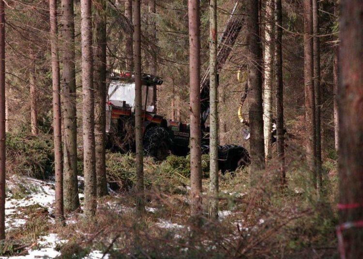 Suomessa suurin osa kaadetuista metsistä päätyy teollisuuden käyttöön.