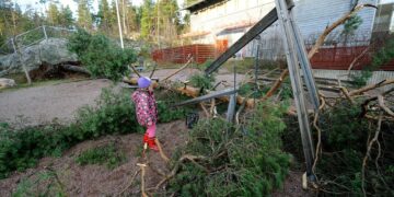 Tapani-myrskyn tuhoja Helsingin Myllypurossa vuonna 2011.