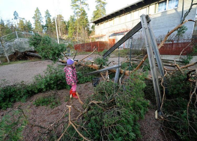 Tapani-myrskyn tuhoja Helsingin Myllypurossa vuonna 2011.