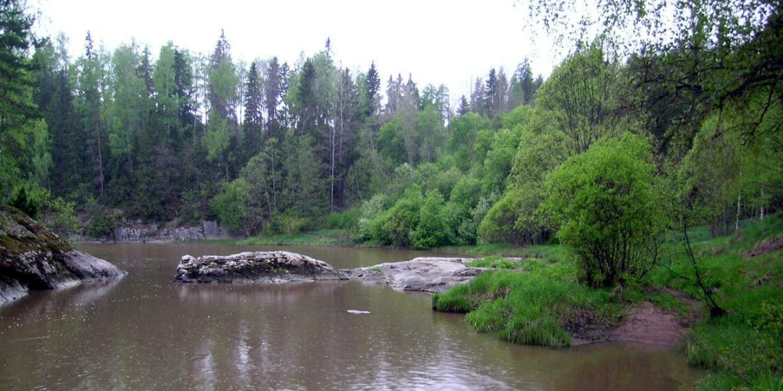 Syke selvitti, millaisia ilmastotoimia julkisen vallan kannattaa rahoittaa, jotta vaikutukset olisivat mahdollisimman suuret.