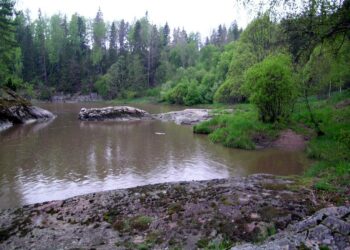 Syke selvitti, millaisia ilmastotoimia julkisen vallan kannattaa rahoittaa, jotta vaikutukset olisivat mahdollisimman suuret.