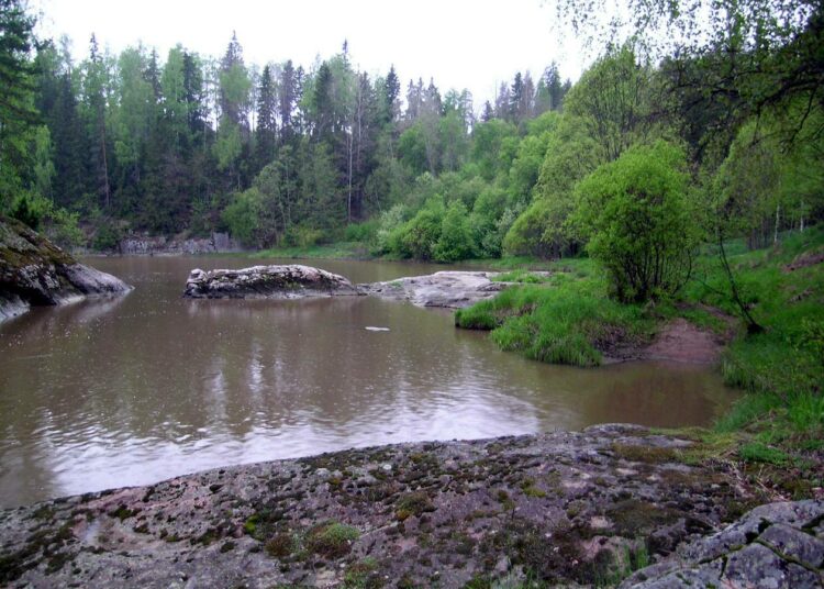 Syke selvitti, millaisia ilmastotoimia julkisen vallan kannattaa rahoittaa, jotta vaikutukset olisivat mahdollisimman suuret.
