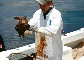 BP pystyi vähentämään veroista huomattavan osan Meksikonlahdella 2010 sattuneen öljyturman korvauksista.