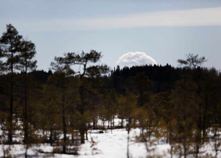 Suota on käytetty vuosisatoja. Alle sata vuotta sitten alkoi maanmuokkaus, jossa vallattiin miljoonia suohehtaareja metsätalouden käyttöön.