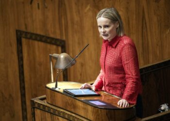 Riikka Purran ja muiden perussuomalaisten mukaan perussyy taloustilanteelle on liian suuri sosiaalivaltio.