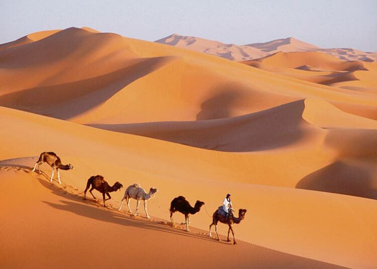 Saharan metsittäminen voisi kääntää koko maapallon ilmakehän hiilidioksidin pitoisuuden laskuun.