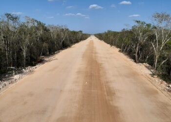 Maya-junan raiteita varten raivataan viidakkoa 1 500 kilometrin matkalta halki Jukatanin niemimaan. Turisteja ja tavaraliikennettä varten rakennettava rata vahingoittaa hauraita ekosysteemejä, muun muassa Amerikkojen toiseksi sademetsää, ja lukemattomia mayojen historiallisia muistomerkkejä. Kuvassa työmaa lähellä Valladolidin kuntaa Jukatanissa.