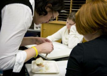 Peruskoulun tuntijakomuutos pudottaa palkkaa osalla opettajista.