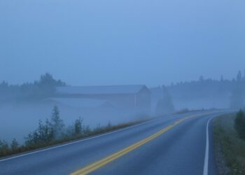 Erewhonilaiset uskovat, että ihmishahmoiset syntymättömät elävät usvamaisessa olomuodossa kuin aaveet. Heidän taivaassaan on aineettomia asumuksia ja kaupunkeja ja he elävät juomalla laihaa ambrosiaa.