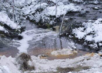 Talvivaaran kaivoksen jätevesissä on sulfaatteja ja raskasmetalleja.