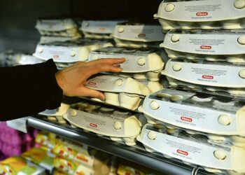 Viime vuonna ruoan ja alkoholittomien juomien hinnat nousivat liki 11 prosenttia.