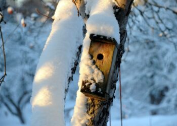 Perjantain talvipäivänseisauksen jälkeen aurinko alkaa paistaa pikkuhiljaa pitempään. Nopeimmin päivä pitenee kevätpäivänseisauksen aikaan.