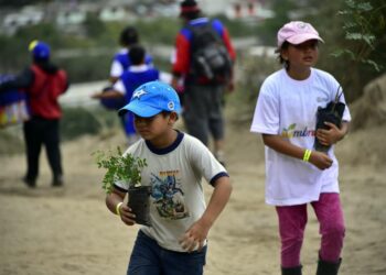 Lapsia osallistumassa metsitysprojektiin Catequillassa Ecuadorissa.
