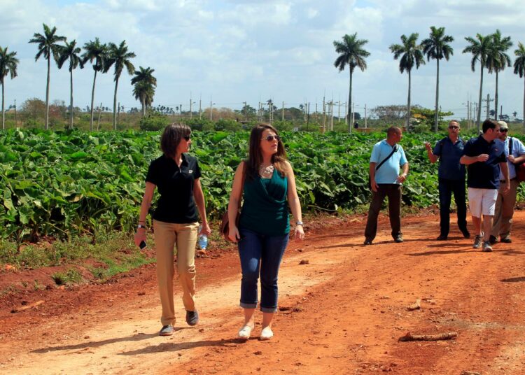 Kuuban kauppasaarron purkamista vaativan yhdysvaltalaisten maatalousyritysten järjestön edustajat tutustuvat kuubalaiseen Primero de Mayon osuuskuntatilaan.