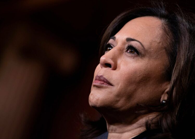 Demokraattien varapresidenttiehdokkaaksi nimetty senaattori Kamala Harris oli itsekin ehdokasehdokkaana, mutta luopui tavoittelemasta presidenttiehdokkuutta.