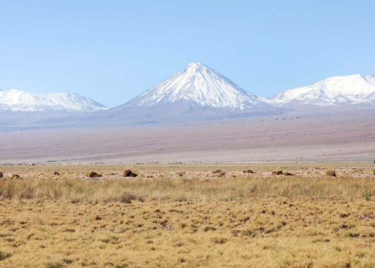 Atacaman suolatasangot ovat muinaisia järviä. Niillä on tärkeä merkitys aavikon ekosysteemille, sillä ne sitovat itseensä hiilidioksidia ja metaania.
