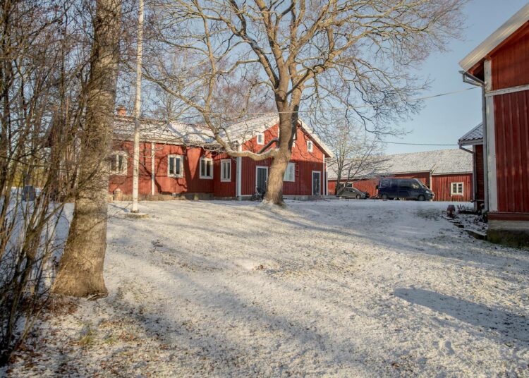 Elävän Kulttuurin Koroinen -yhdistys hyväksyttiin viime vuoden lopulla ensimmäiseksi kansainväliset kriteerit täyttäväksi LAND-keskukseksi Suomessa. Yhdistys toimii Koroisten tilalla keskellä Turkua.