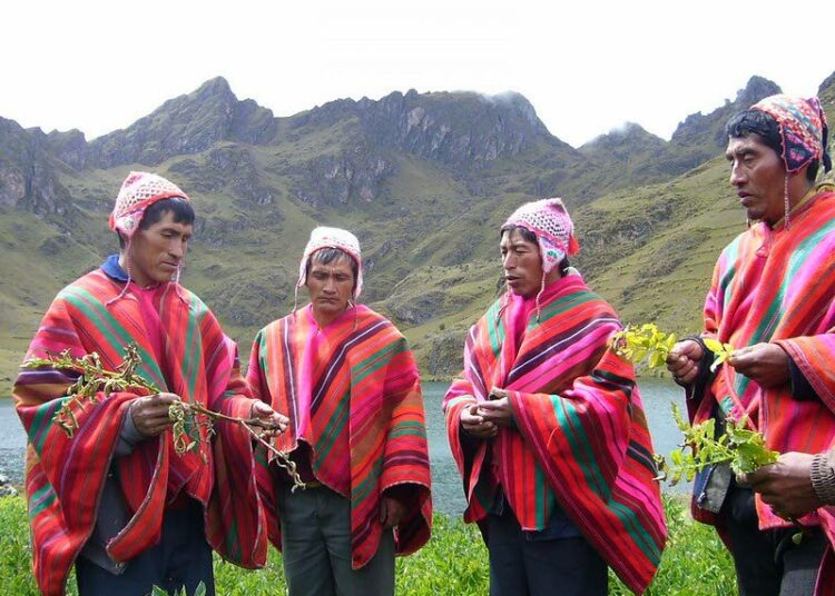 Perunakin on alkujaan kotoisin Andeilta. Kuvassa niin sanotut perunanvartijat tarkastelevat hallavaurioita Perun Huamassa.