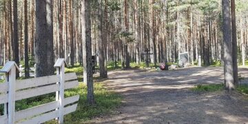 Krasnyi borin joukkohaudat ovat aivan Äänisen valtatien vieressä sijaitsevassa metsässä