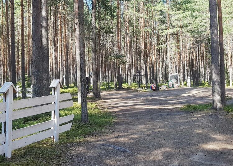 Krasnyi borin joukkohaudat ovat aivan Äänisen valtatien vieressä sijaitsevassa metsässä