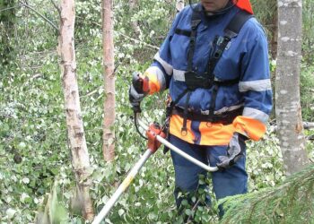 Hillevi Lehmusjärven mielestä parasta metsurin työssä on sen itsenäisyys ja fyysisyys.