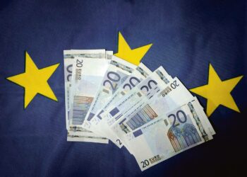 Vasemmiston tavoitteet vuosille 2016–2019 -asiakirjaluonnoksessa pelätään, että eurovaltiot voivat ajautua jopa maksukykykriisiin, koska ne eivät voi tehdä rahapolitiikkaa vaan ovat muiden hallitseman valuutan käyttäjiä.
