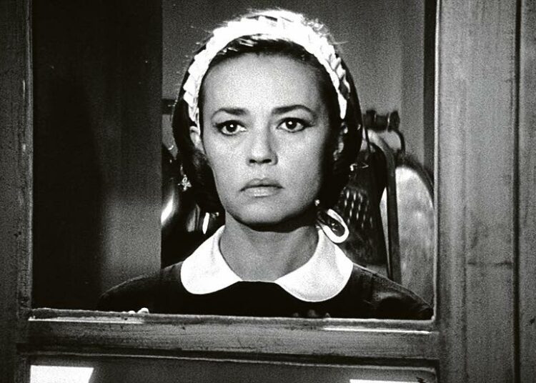 Kamarineidon päiväkirja on Luis Buñuelin ohjaustyö kamarineidosta (Jeanne Moreau), joka tutustuu maalaiskartanon isäntäväen kummallisuuksiin.