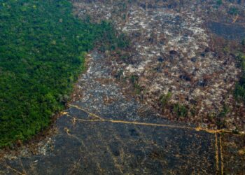 Elokuun lopulla otetussa ilmakuvassa näkyy tuhoutunutta sademetsää Altamiran alueella Paran osavaltiossa.